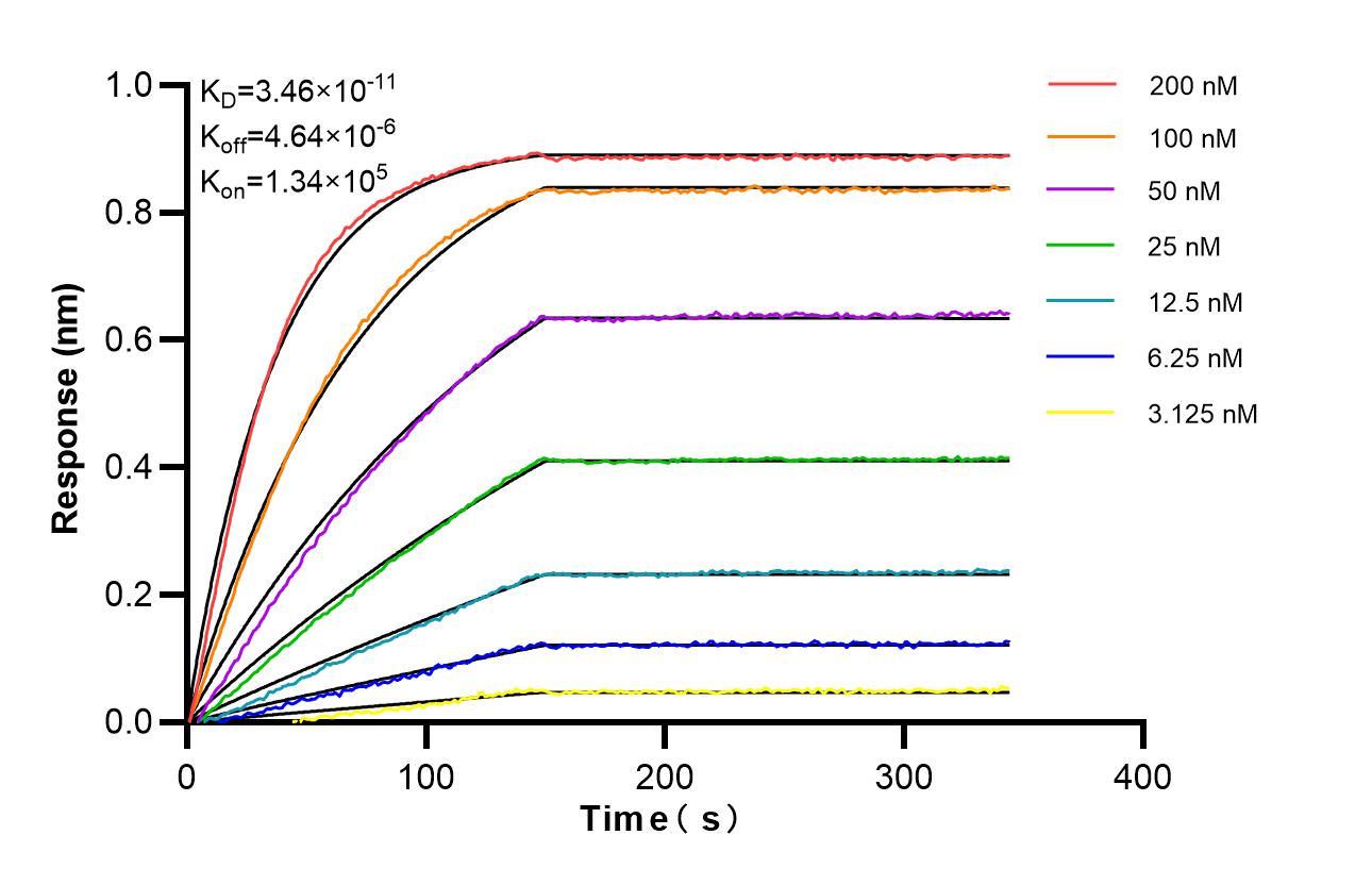 Affinity of 87323-1-RR