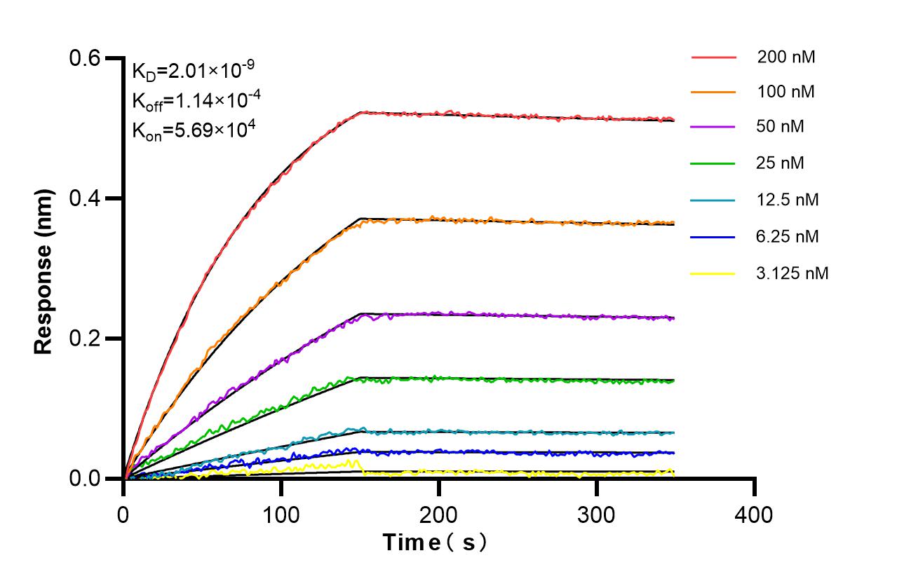 Biolayer interferometry (BLl) kinetic assays of 87335-1-RR against Human VDR were performed. The affinity constant is 2.01 nM. Affinity of 87335-1-RR