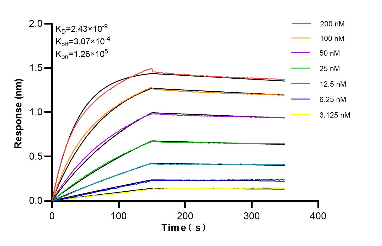Affinity of 87342-1-RR