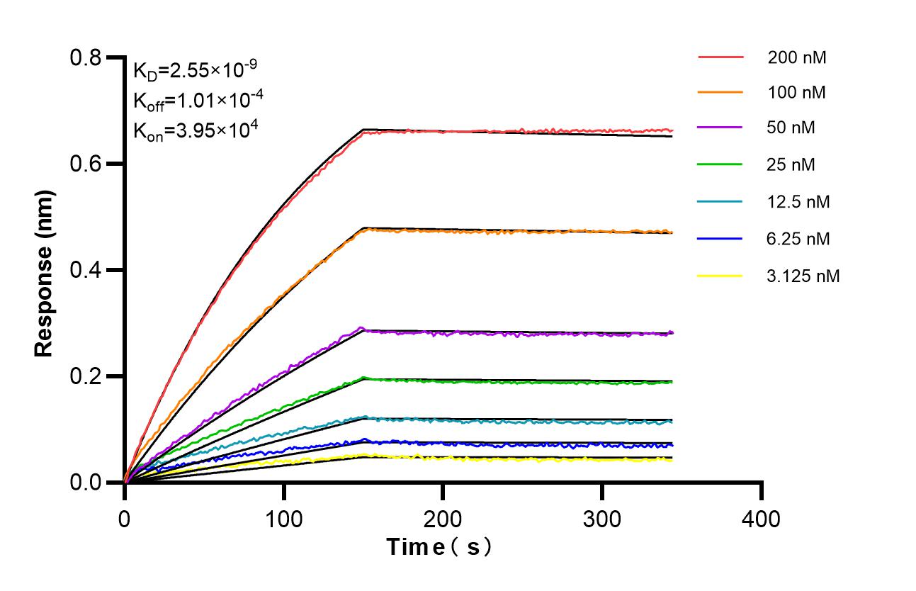 Affinity and Kinetic Characterization of 87348-2-RR