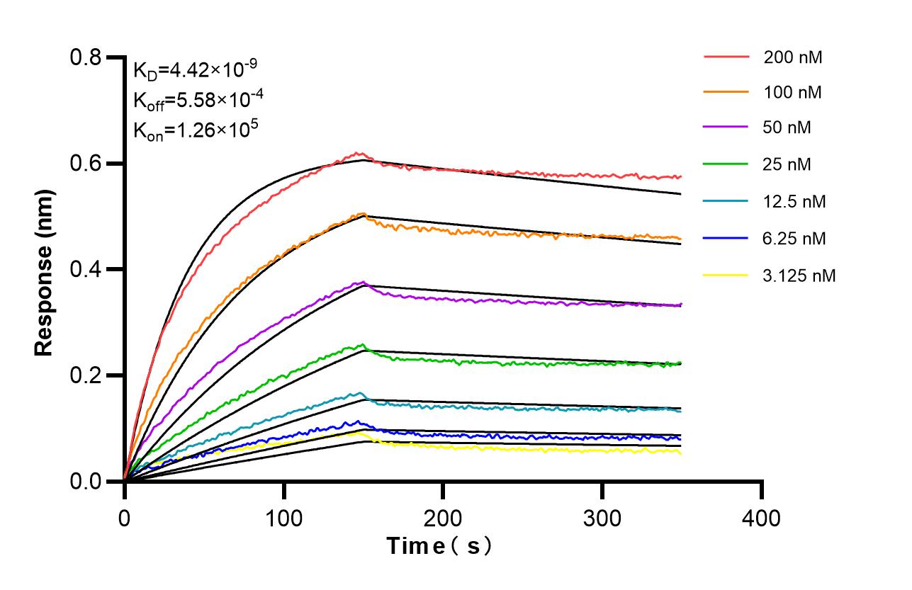 Affinity of 87374-1-RR