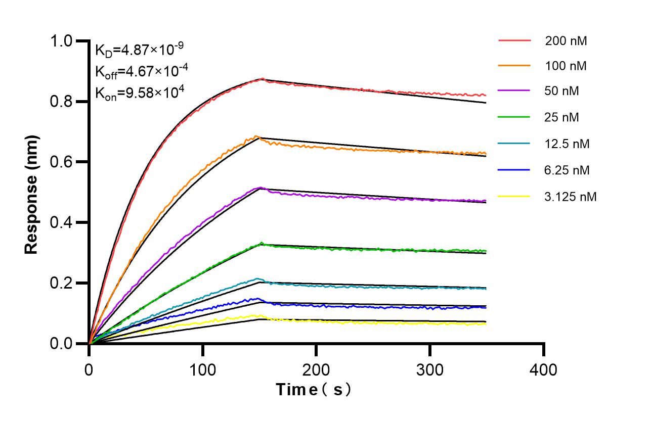 Affinity of 87376-1-RR