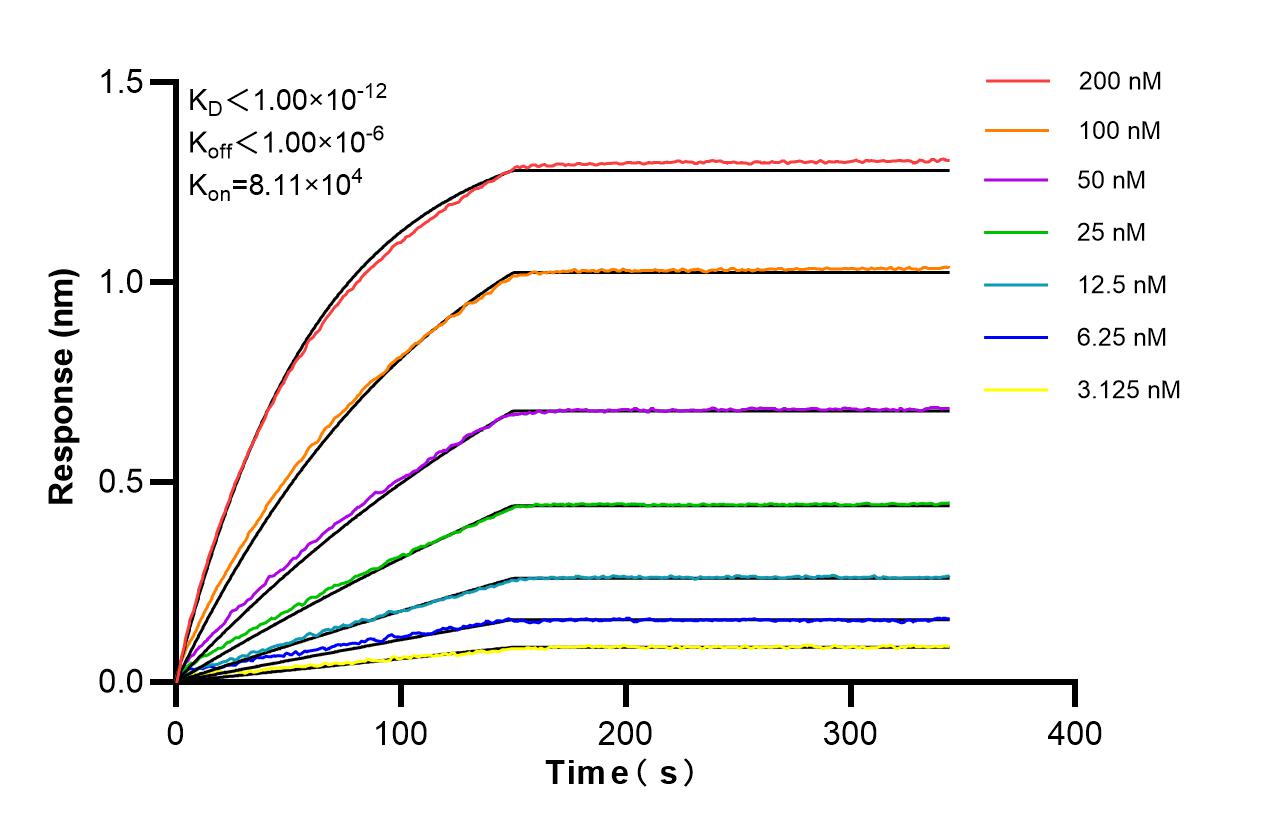 Affinity of 87391-2-RR Affinity of 87391-2-RR