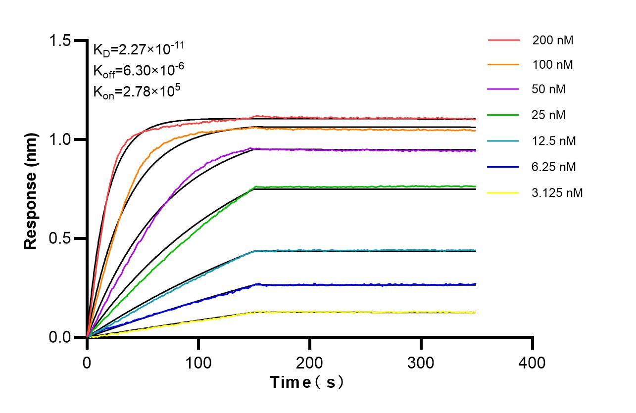 Affinity of 87392-1-RR