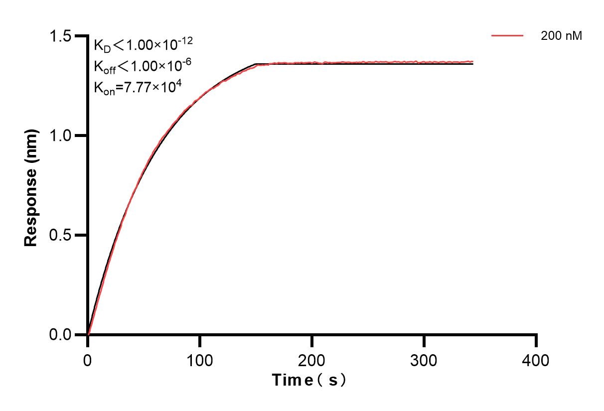 Affinity of 87393-3-PBS