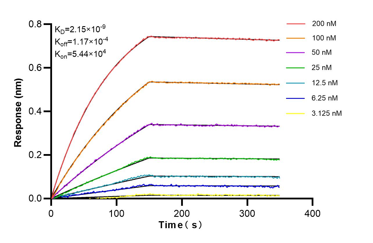 Affinity of 87398-1-RR