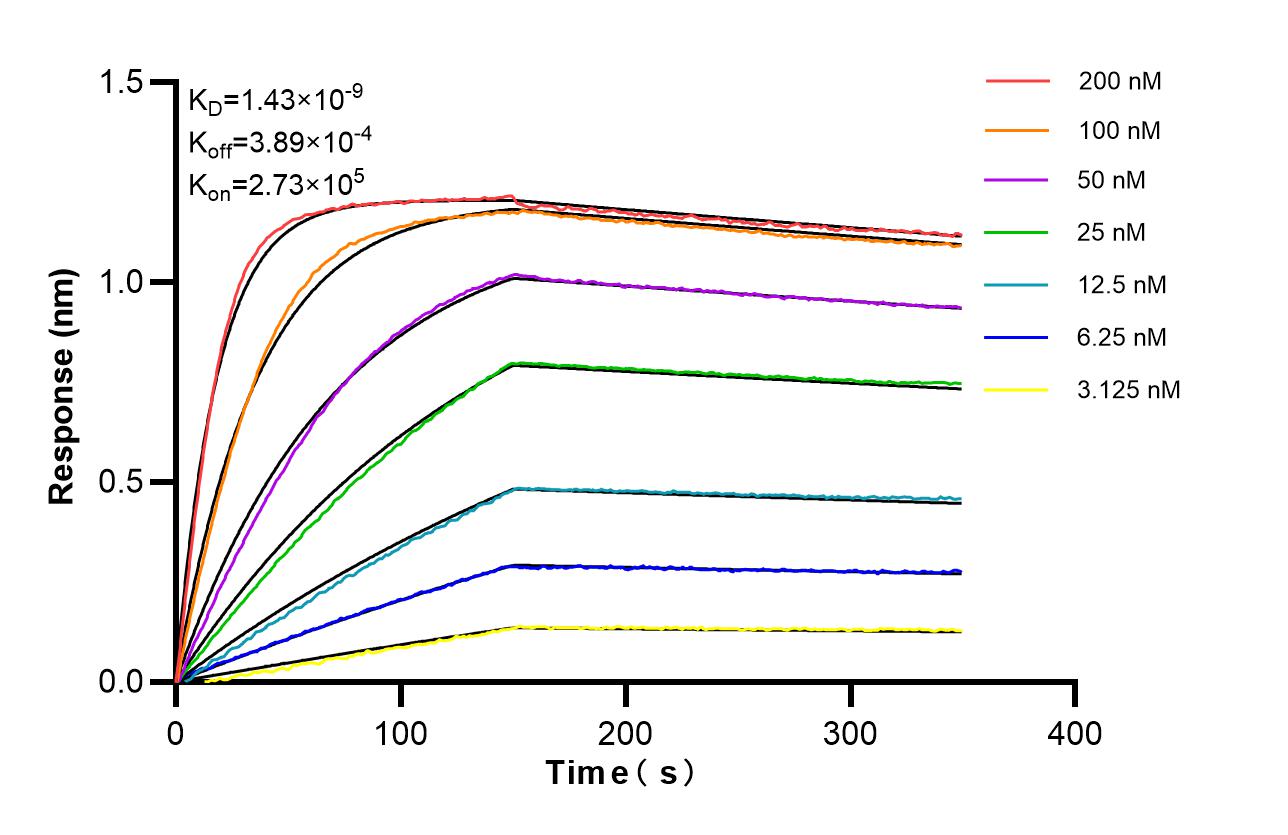 Affinity of 87422-1-RR