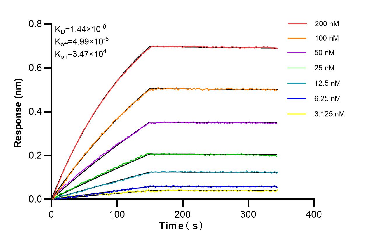 Affinity of 87423-1-RR Affinity of 87423-1-RR
