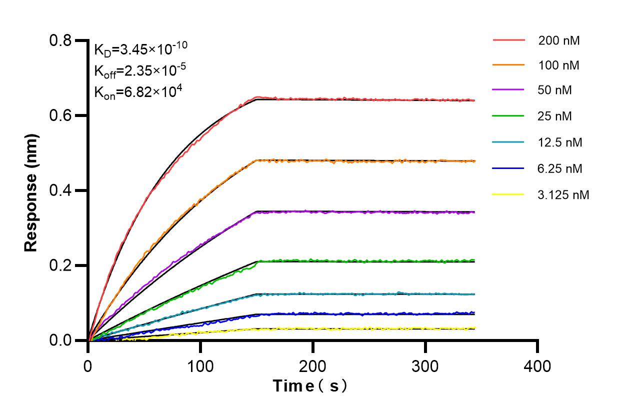 Biolayer interferometry (BLl) kinetic assays of 87425-2-RR against Human ZFYVE19 were performed. The affinity constant is 0.345 nM. Affinity of 87425-2-RR