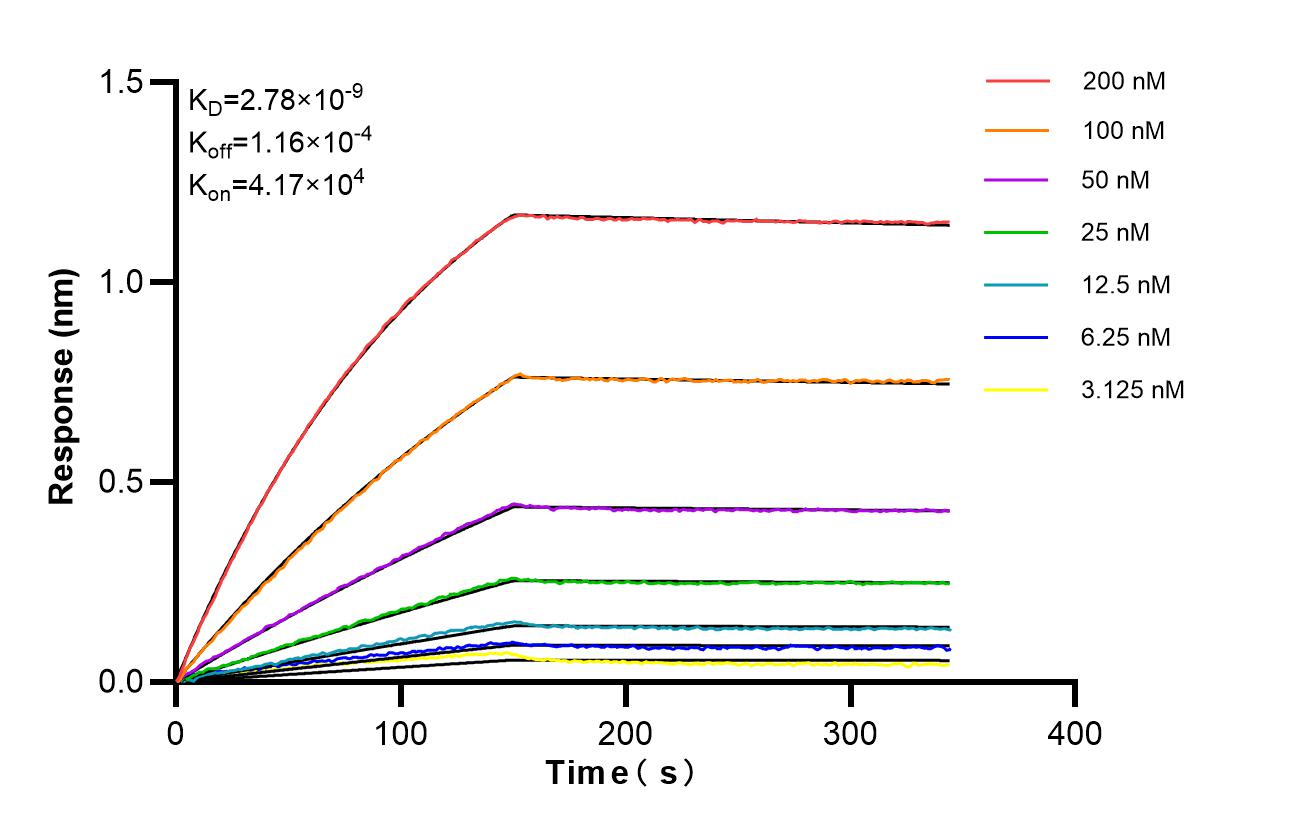 Affinity of 87434-1-RR