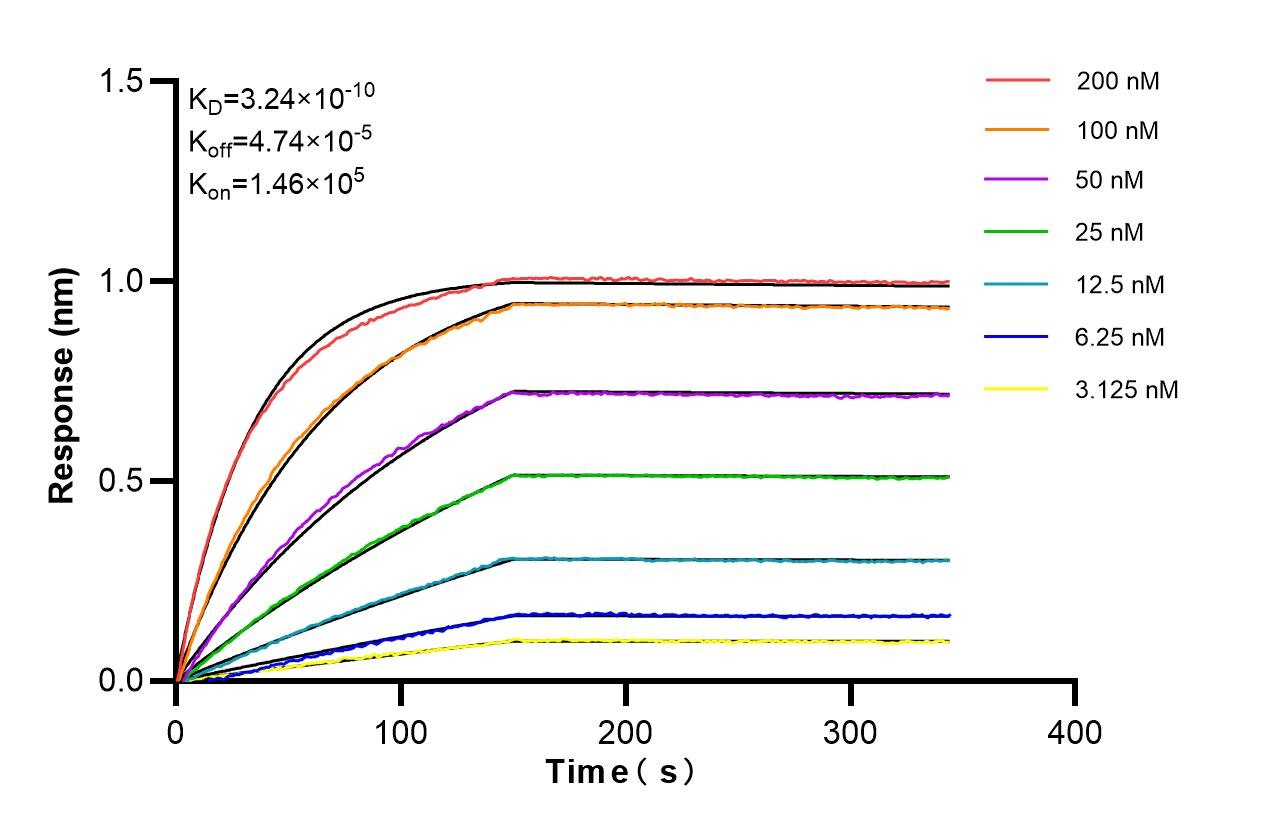 Affinity of 87464-1-RR
