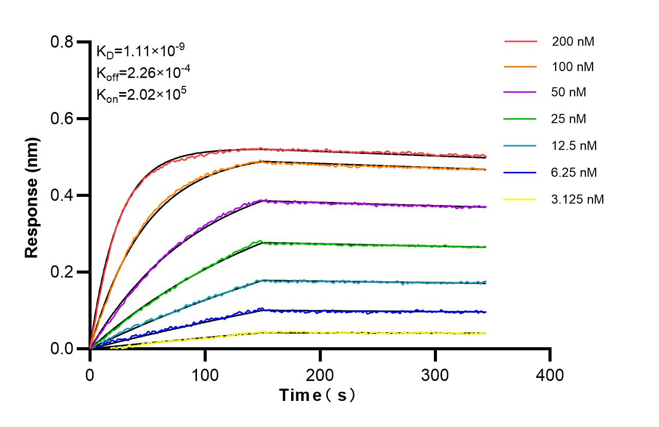 Affinity of 87465-1-RR