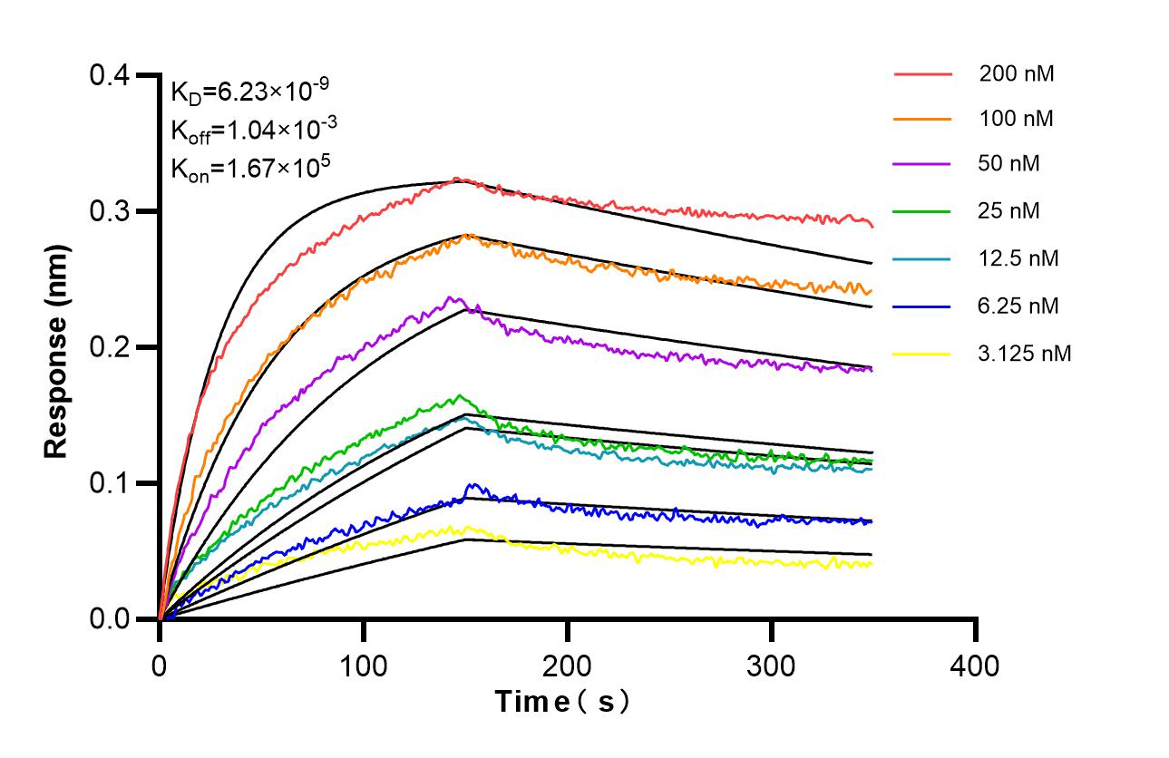 Affinity of 87467-3-RR Affinity of 87467-3-RR