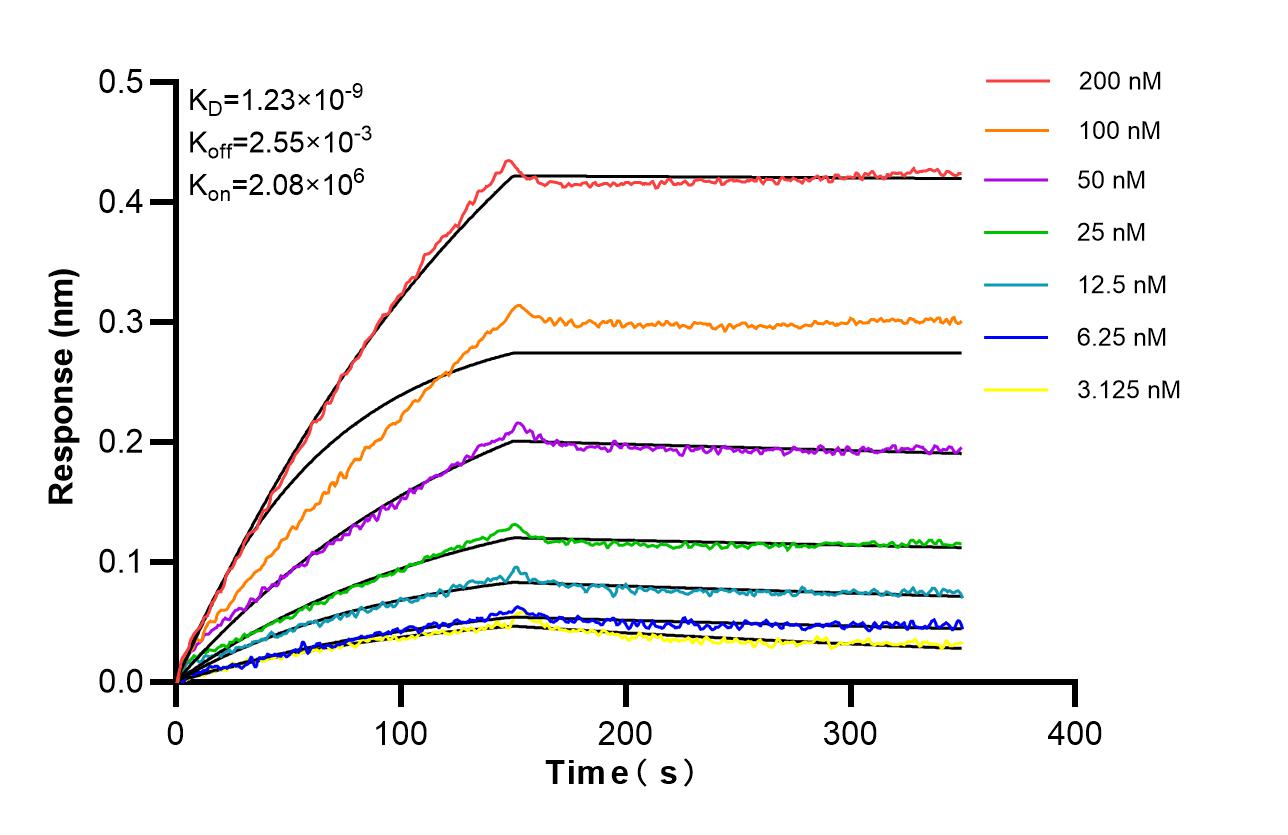 Affinity of 87471-1-RR