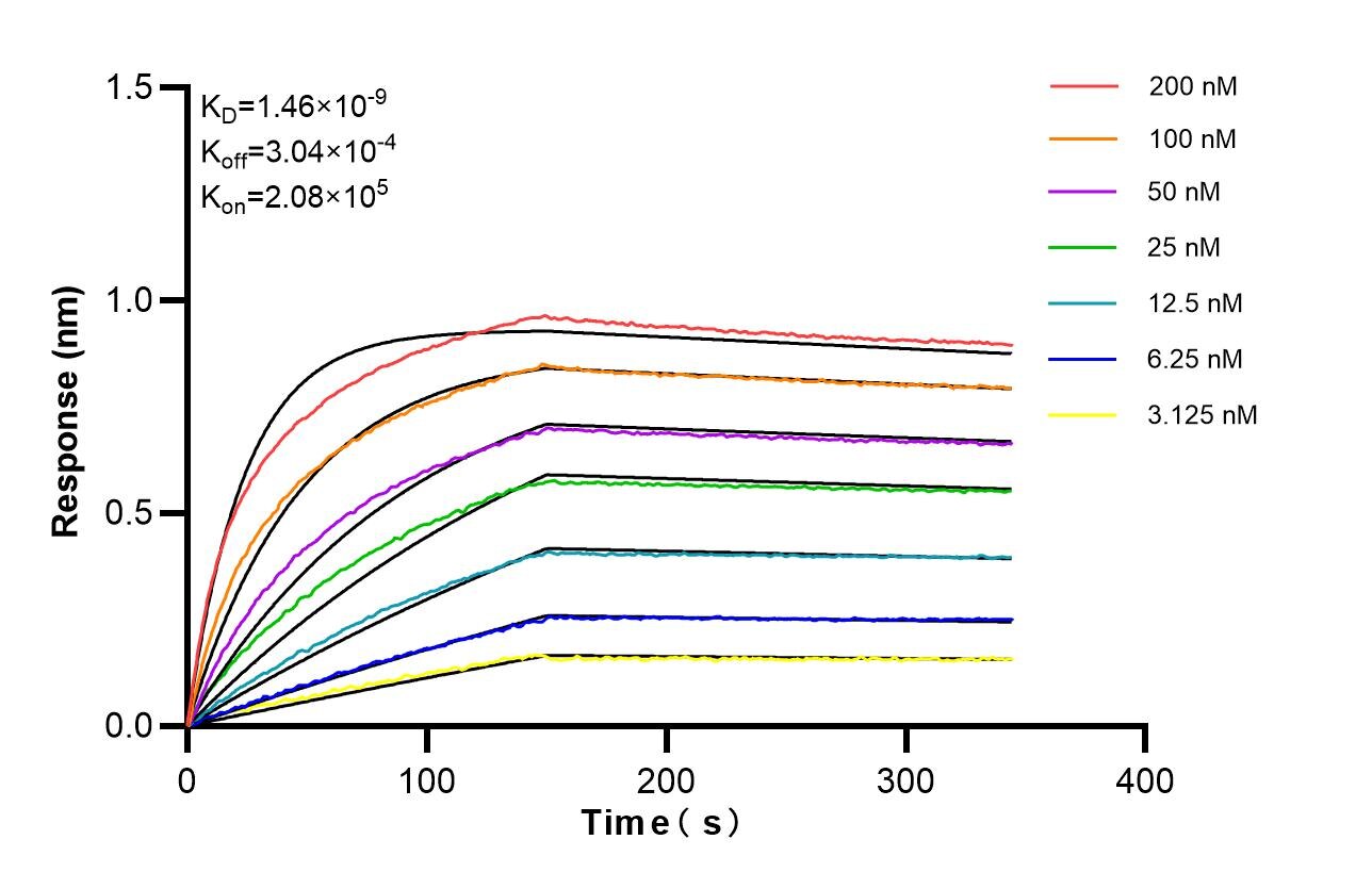 Affinity of 87490-1-RR