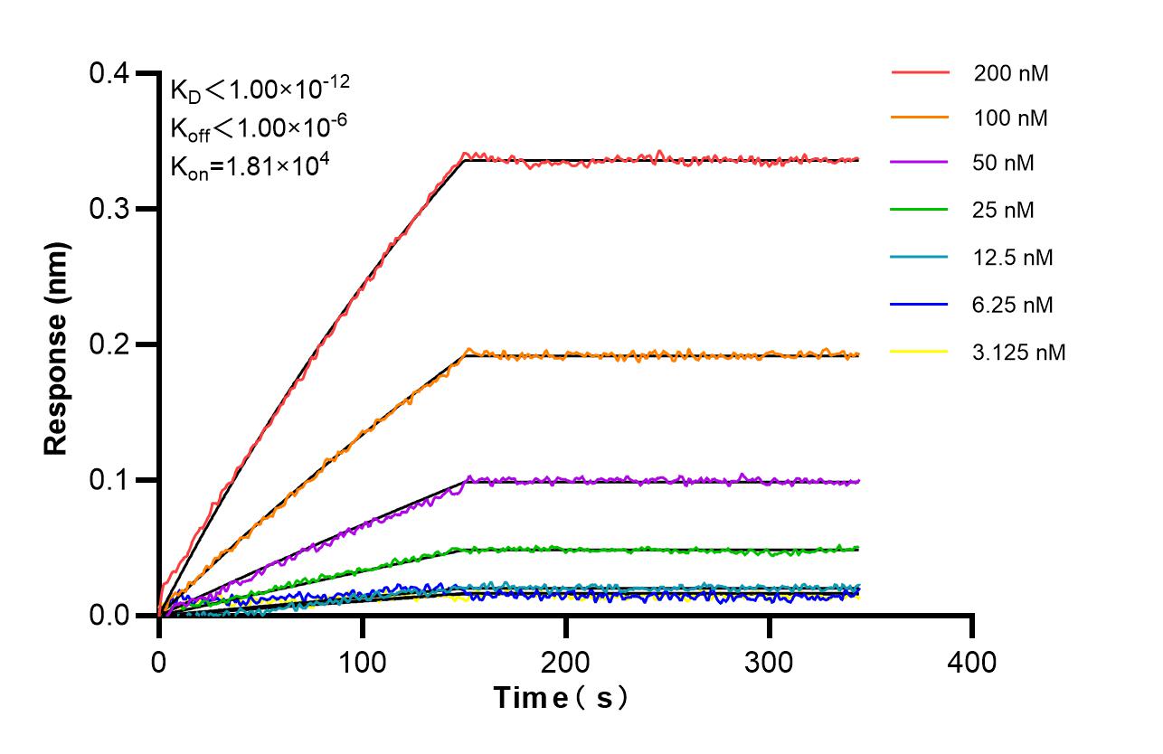 Affinity of 87498-1-RR