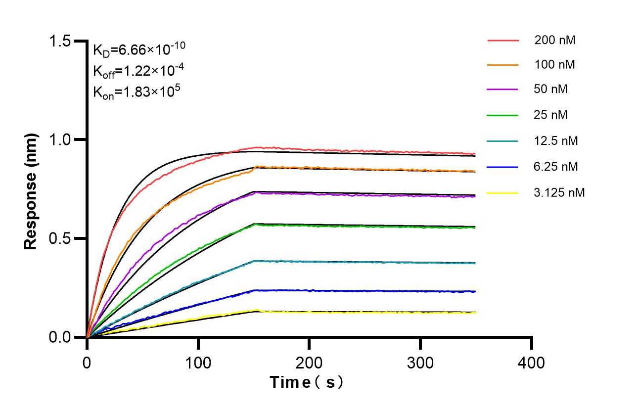 Affinity of 87526-1-RR