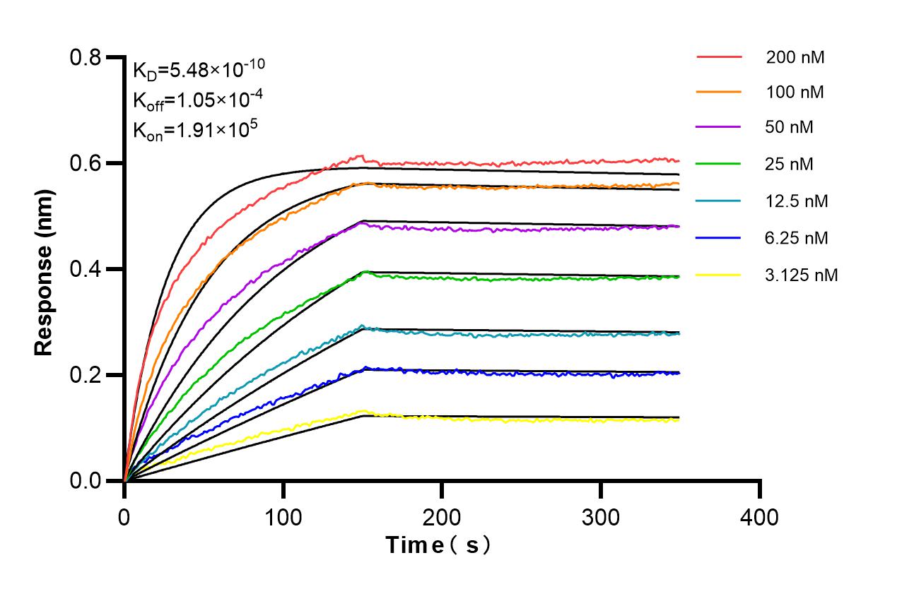 Affinity of 87582-2-RR