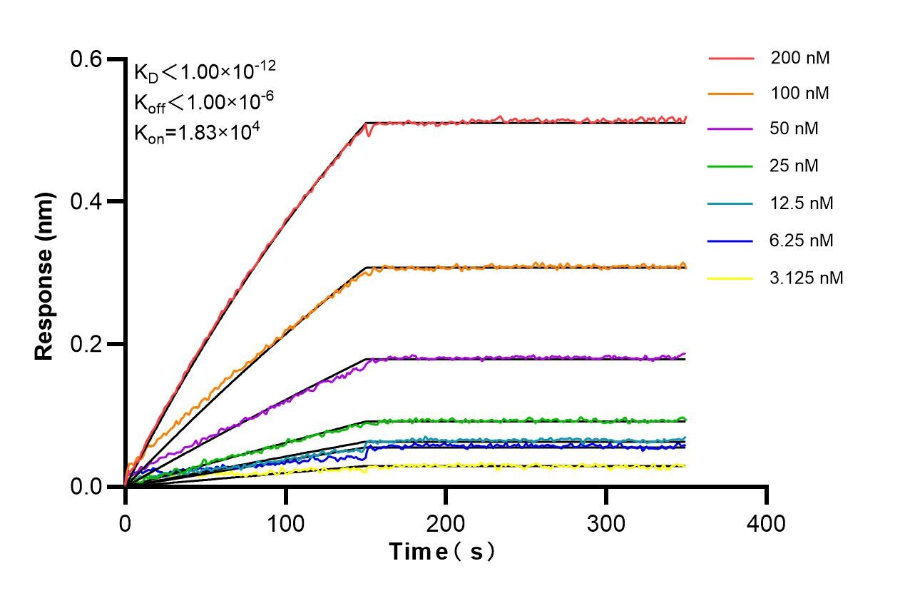 Affinity of 87597-1-RR