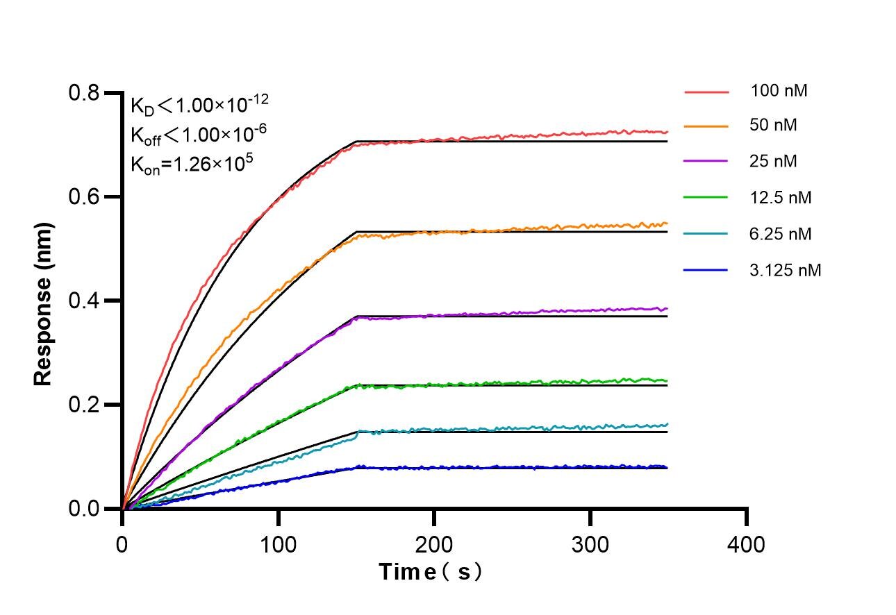 Affinity of 87599-1-RR