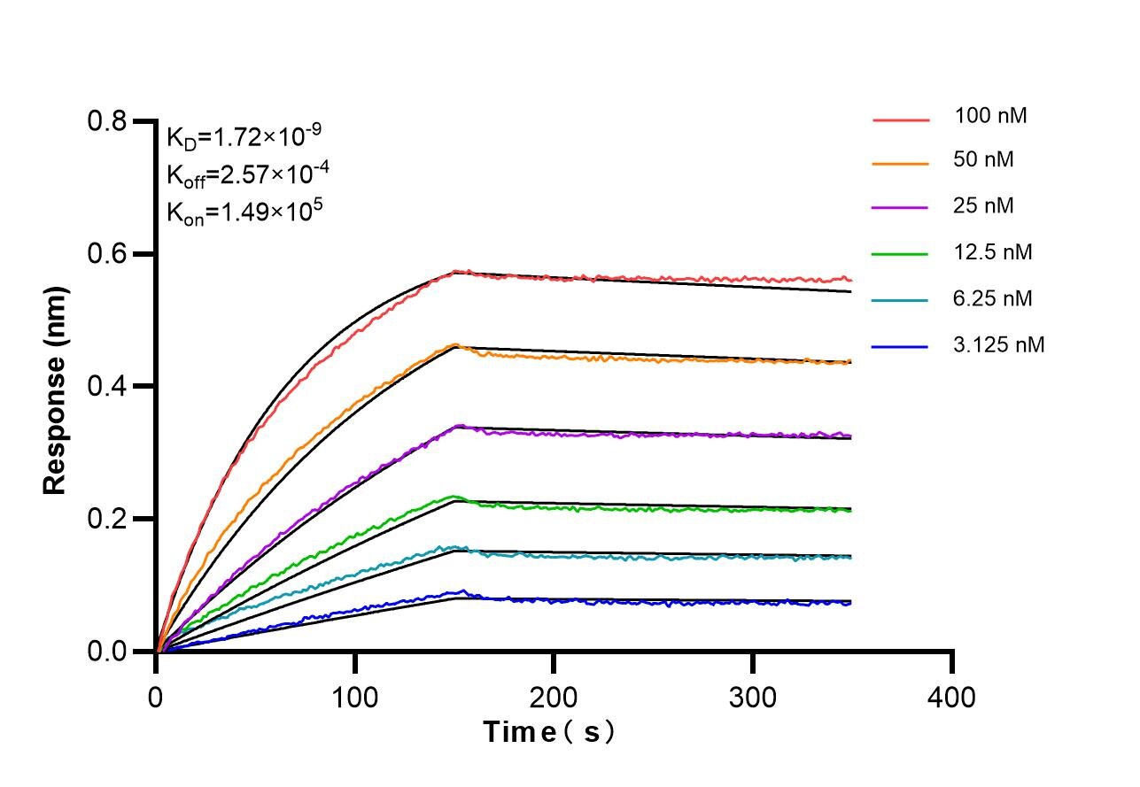 Biolayer interferometry (BLl) kinetic assays of 87612-1-RR against Human CNTN1 were performed. The affinity constant is 1.72 nM. Affinity of 87612-1-RR