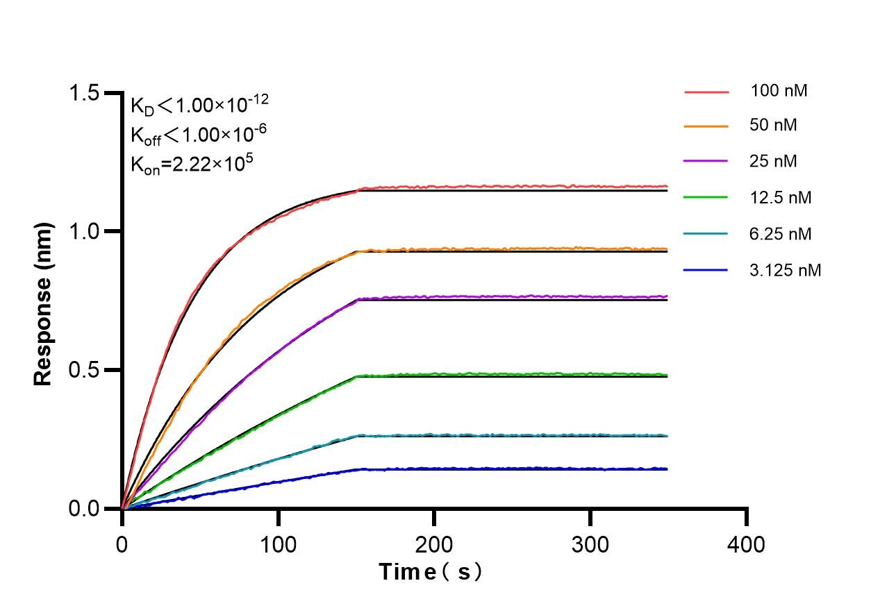 Affinity of 87621-1-RR