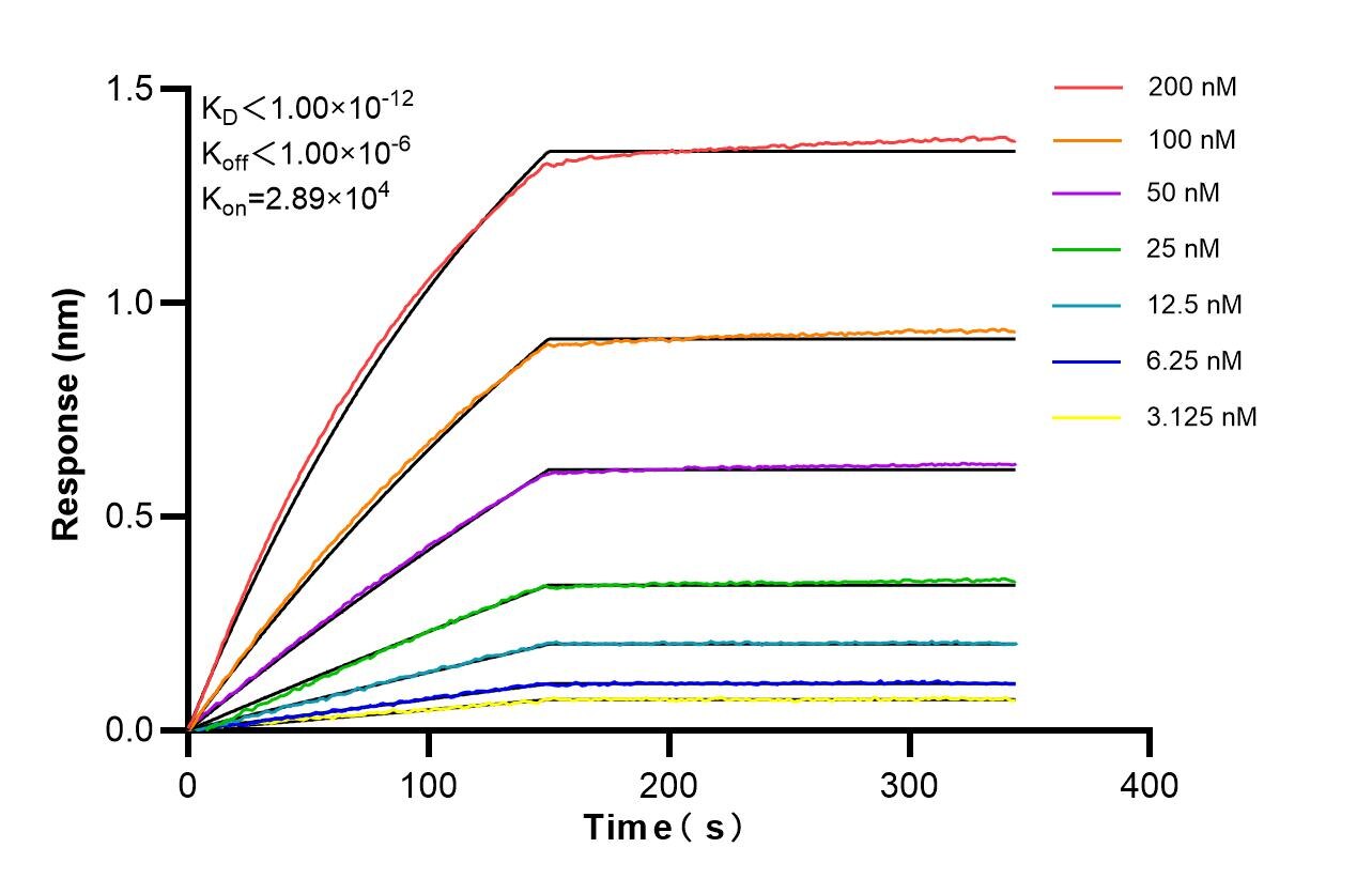 Affinity of 87630-2-RR Affinity of 87630-2-RR