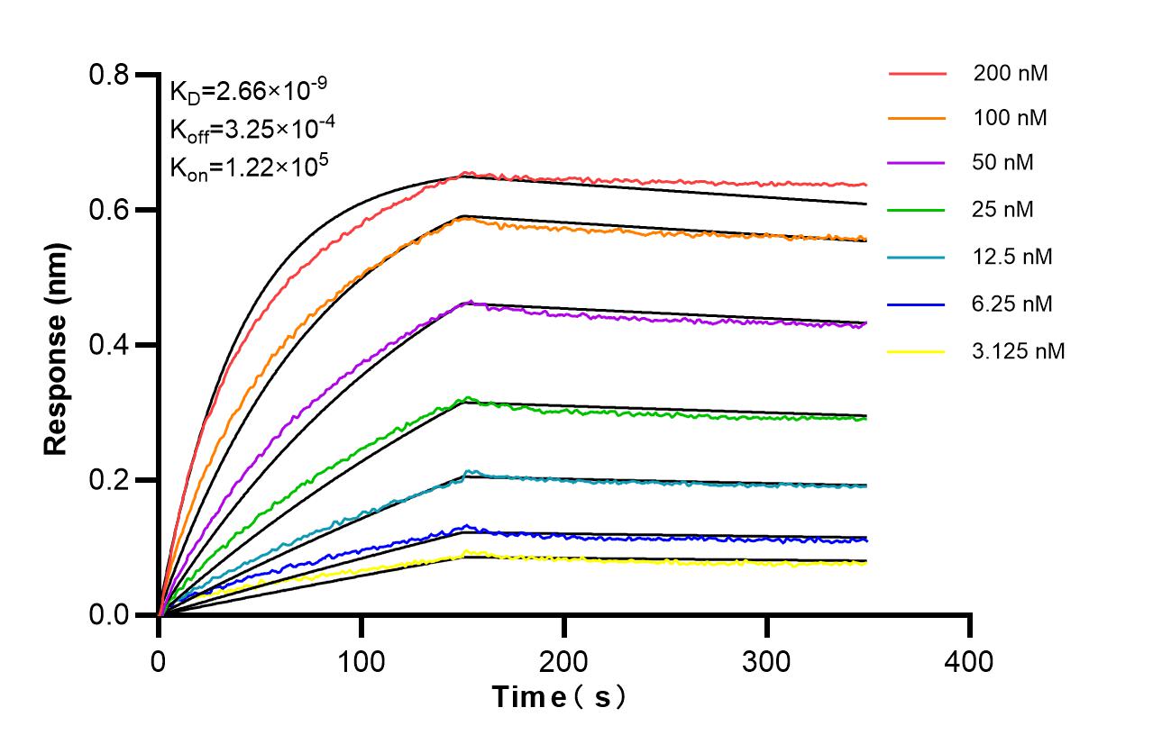 Affinity of 87655-2-RR Affinity of 87655-2-RR