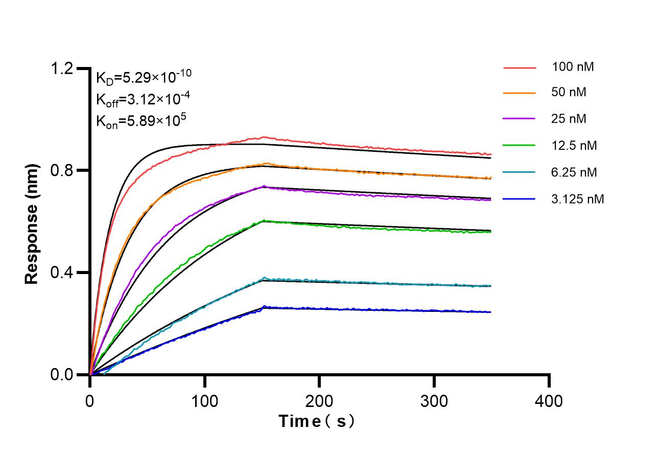 Affinity of 87663-1-RR