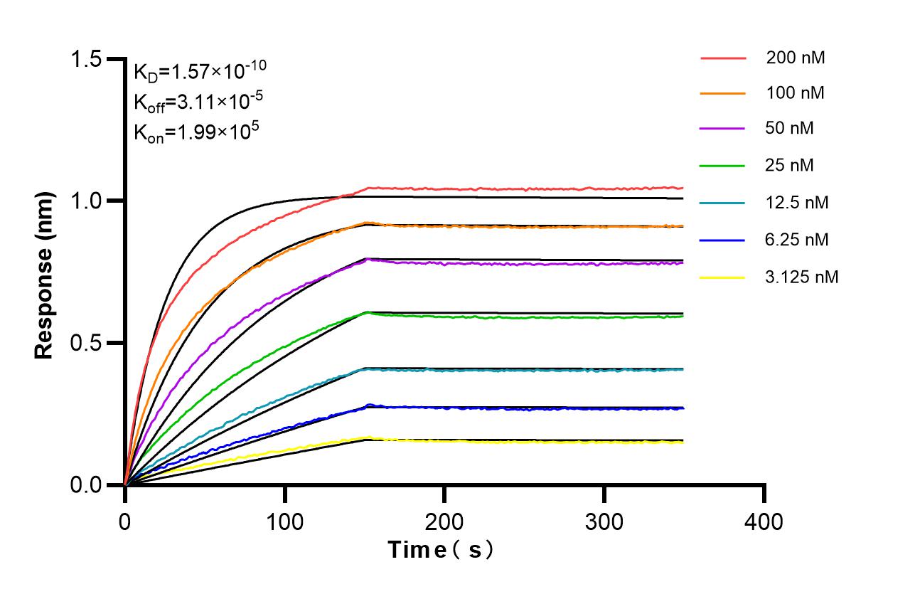 Affinity of 87688-3-RR