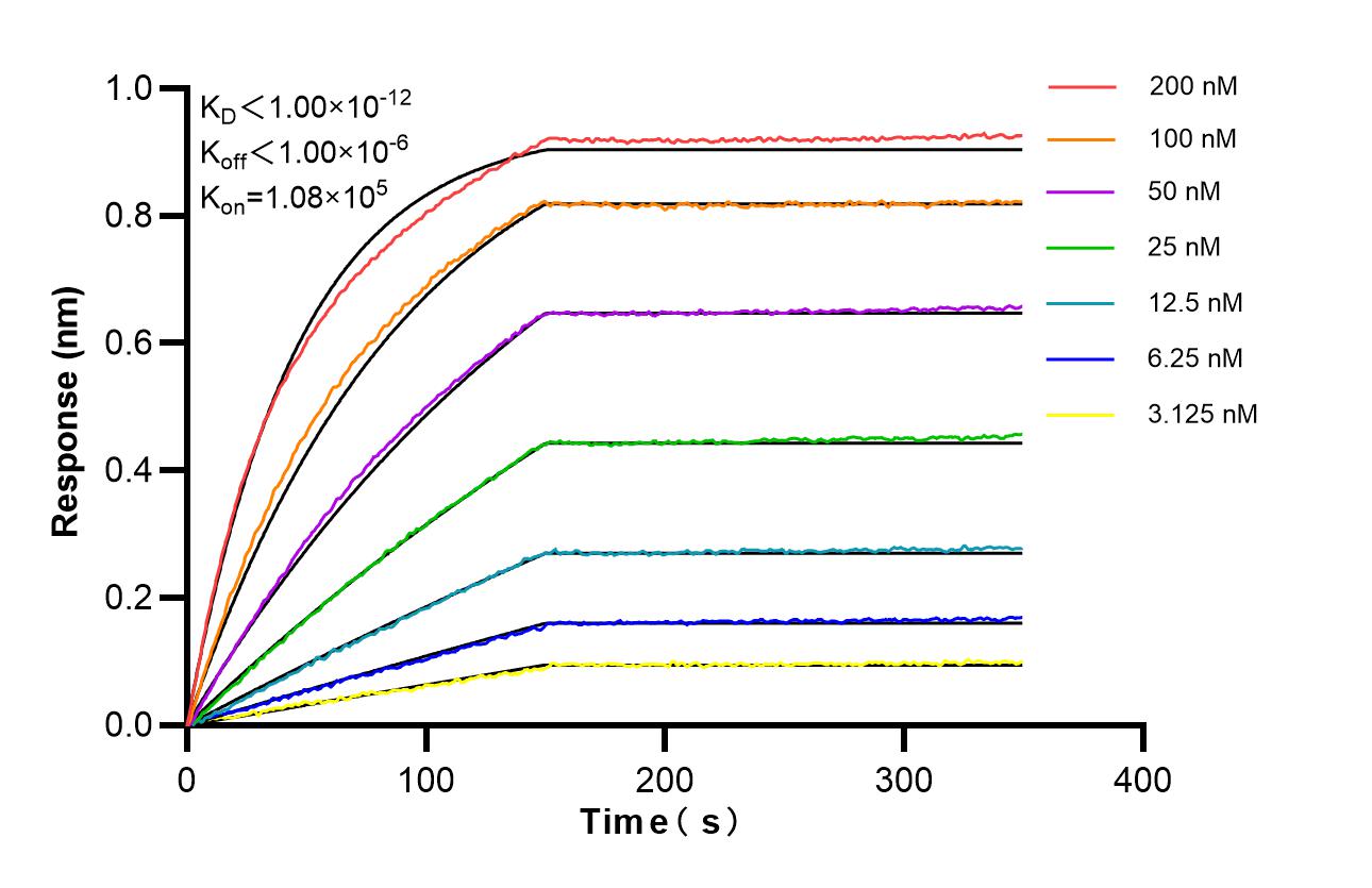 Affinity of 87689-3-RR