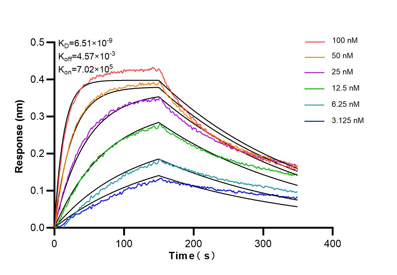 Affinity of 87713-1-RR