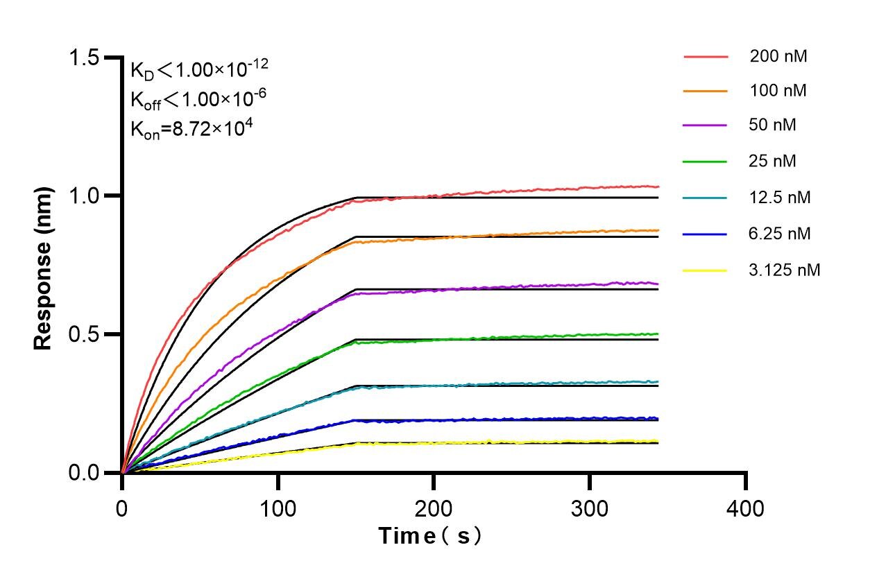 Affinity of 87759-3-RR