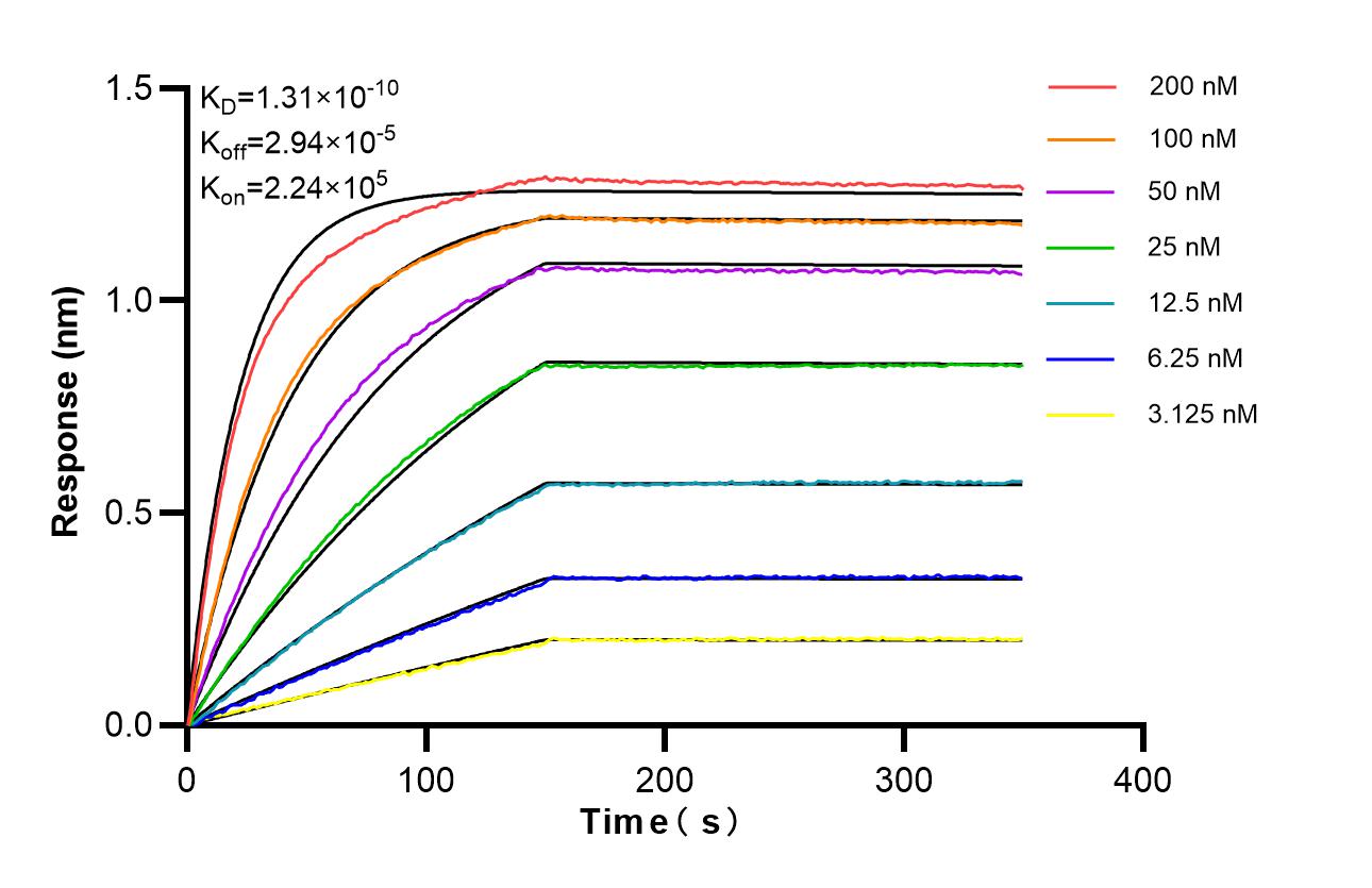 Affinity of 87840-1-RR