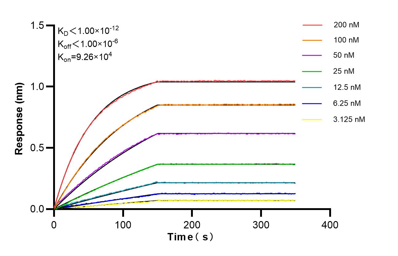Affinity of 87841-1-RR Affinity of 87841-1-RR