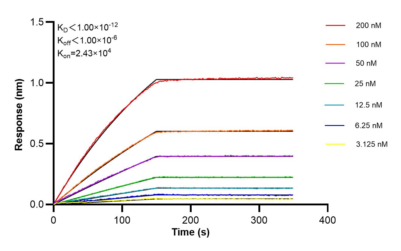 Affinity of 87860-2-RR