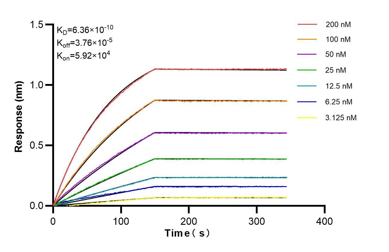 Affinity of 87878-3-RR Affinity of 87878-3-RR