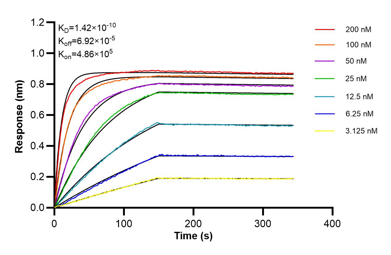 Affinity of 87895-1-RR Affinity of 87895-1-RR