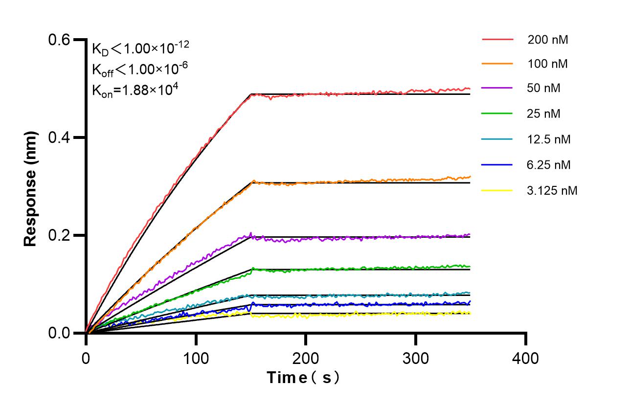 Affinity of 87897-1-RR