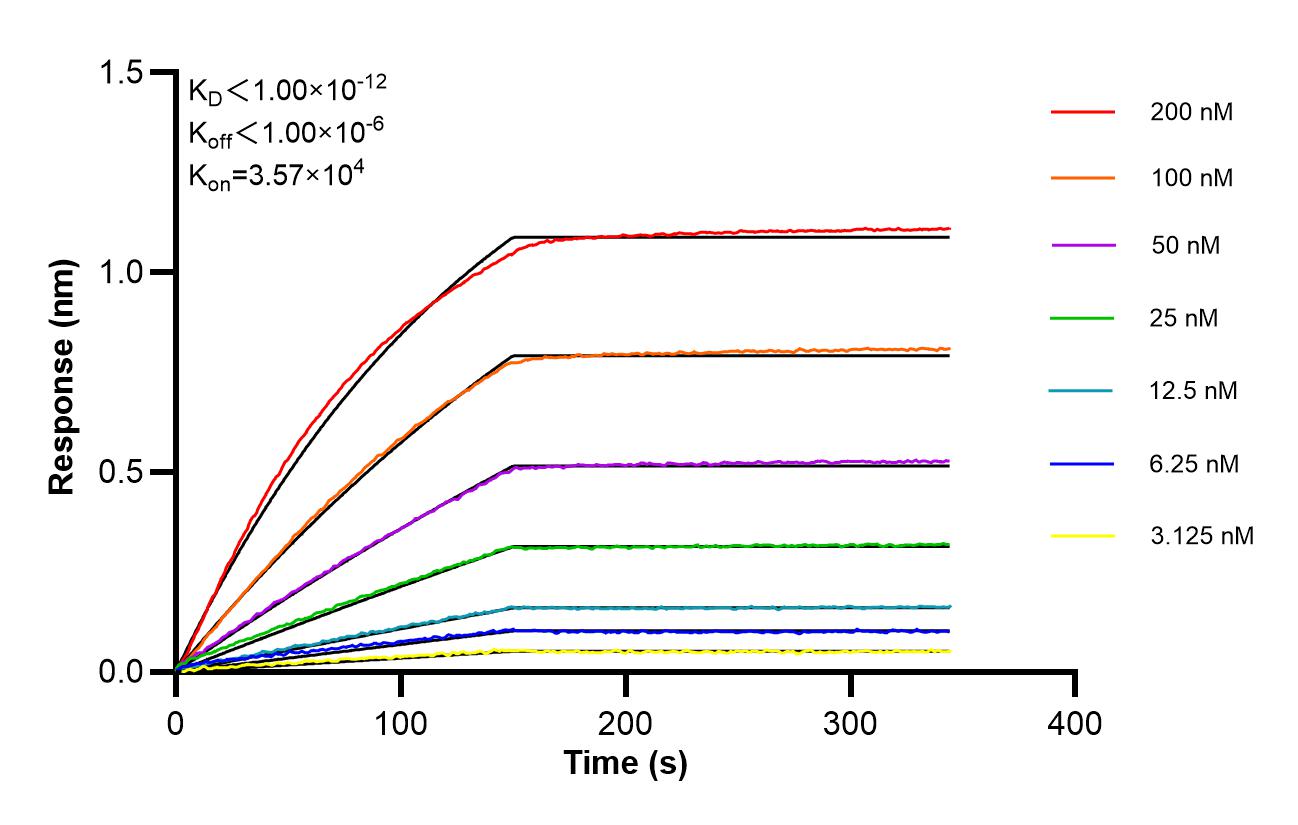 Affinity of 87902-1-RR