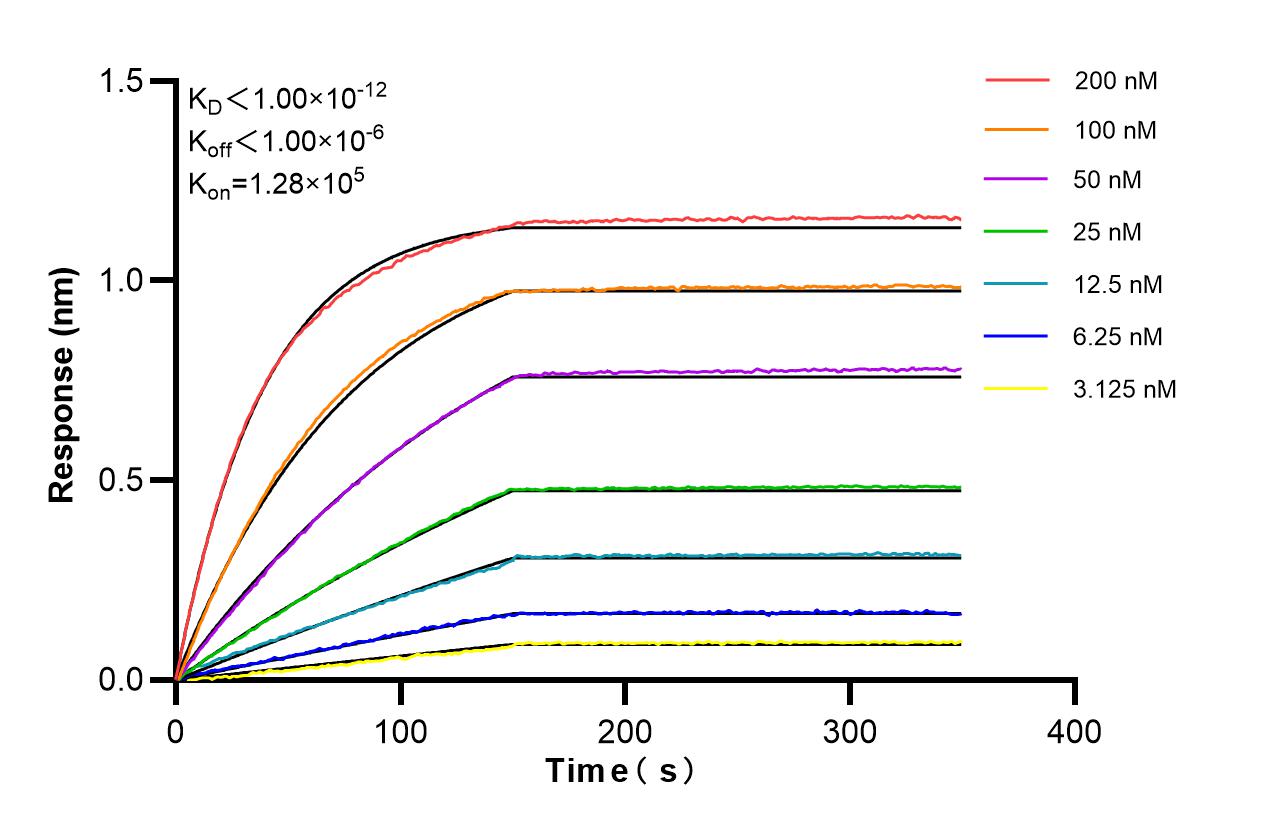 Affinity of 87920-1-RR