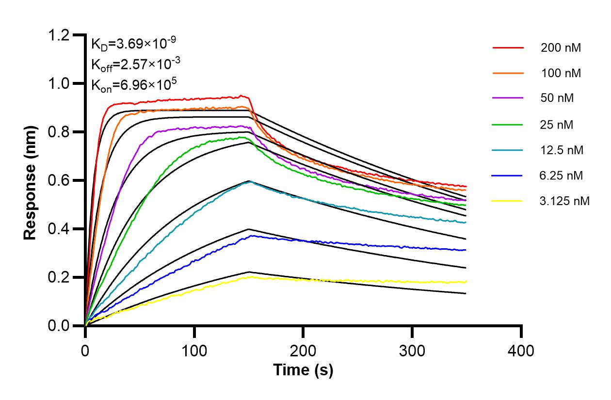 Affinity of 87922-1-RR