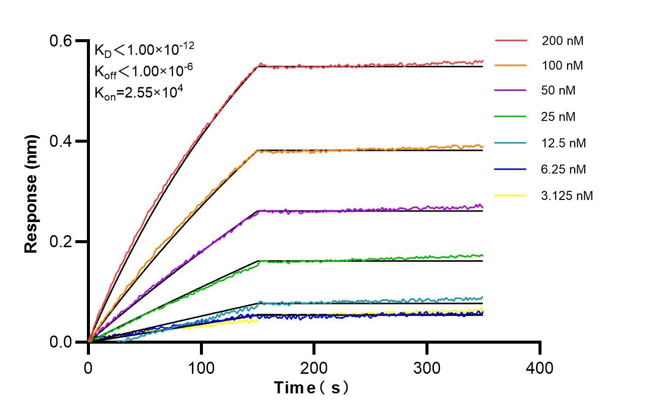 Affinity of 87943-1-RR