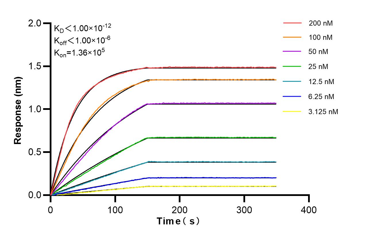 Affinity of 87990-1-RR