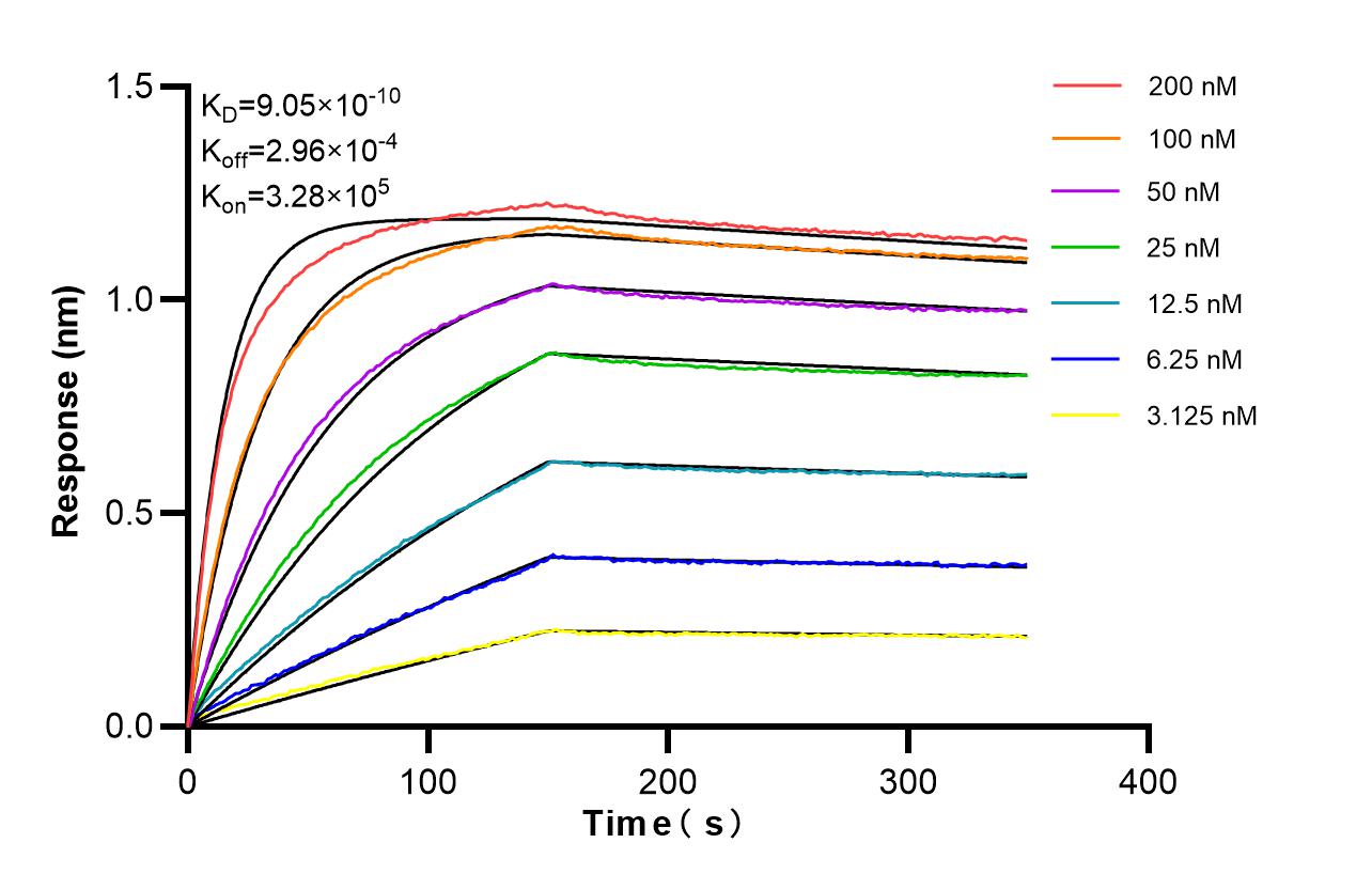 Affinity of 88017-1-RR