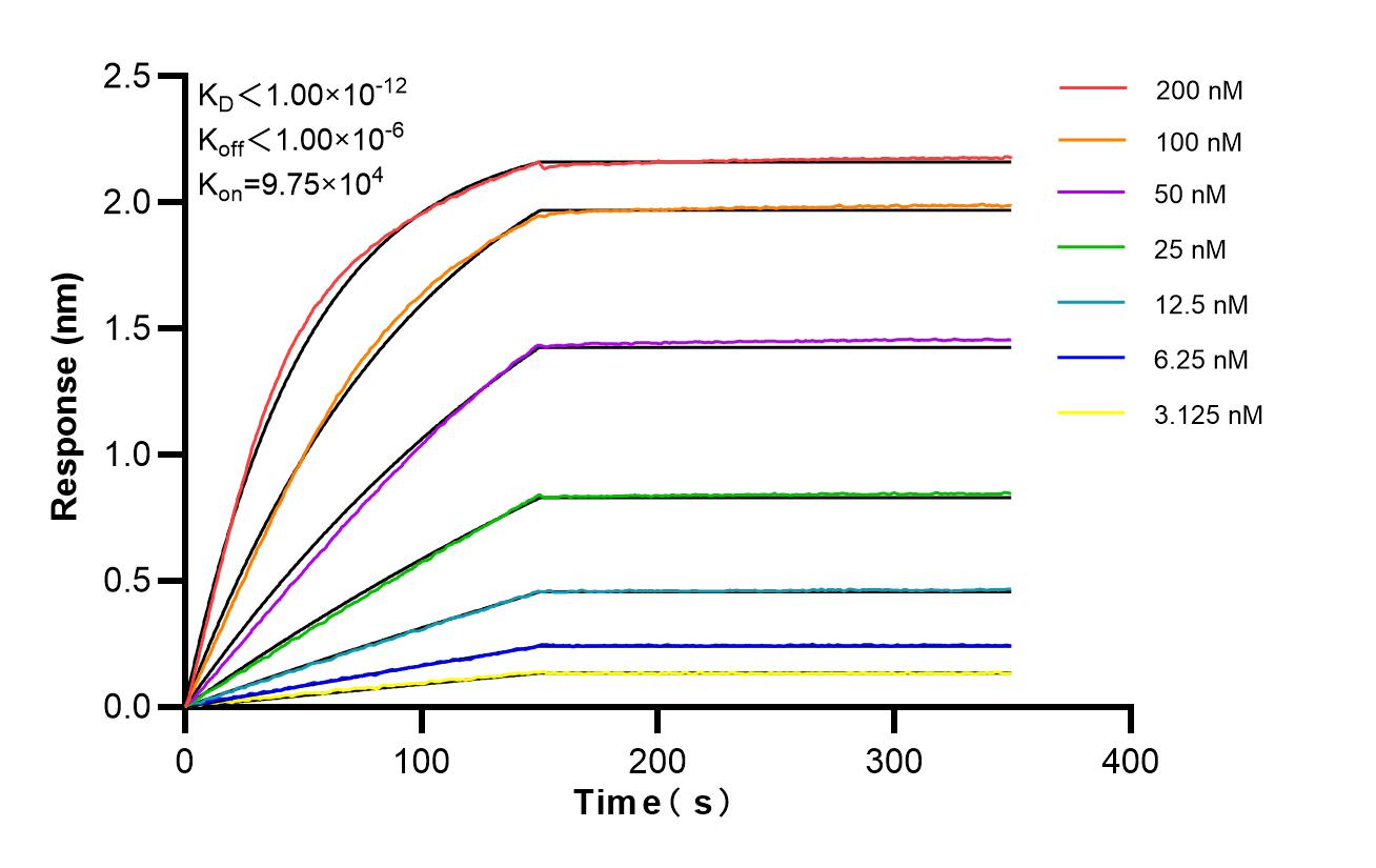 Affinity of 88058-4-RR Affinity of 88058-4-RR
