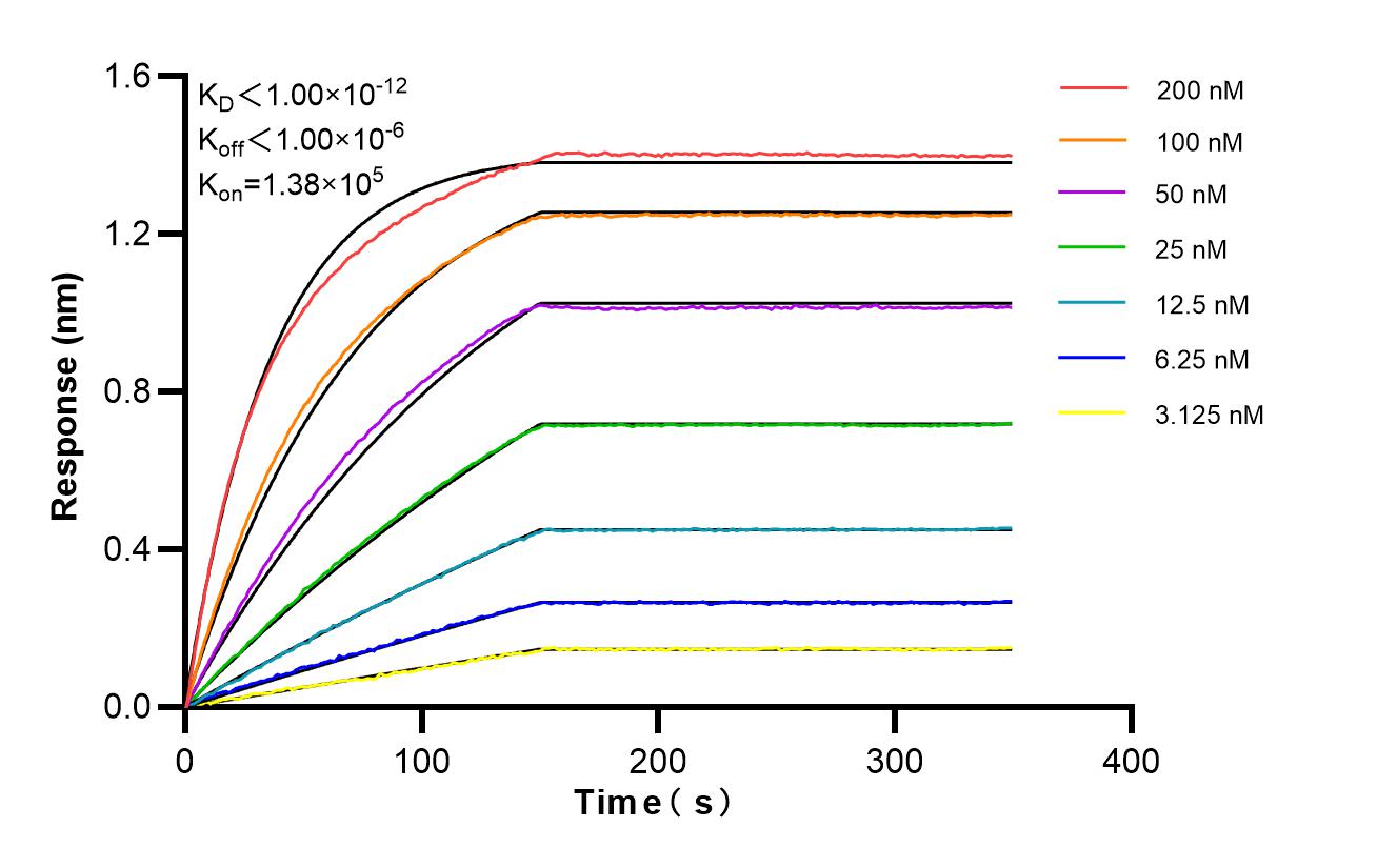Affinity of 88168-3-RR