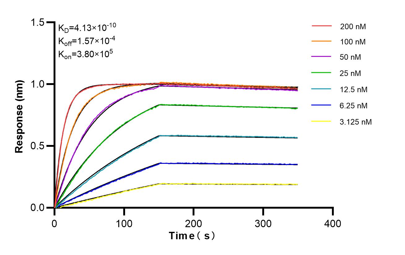 Affinity of 88267-1-RR Affinity of 88267-1-RR
