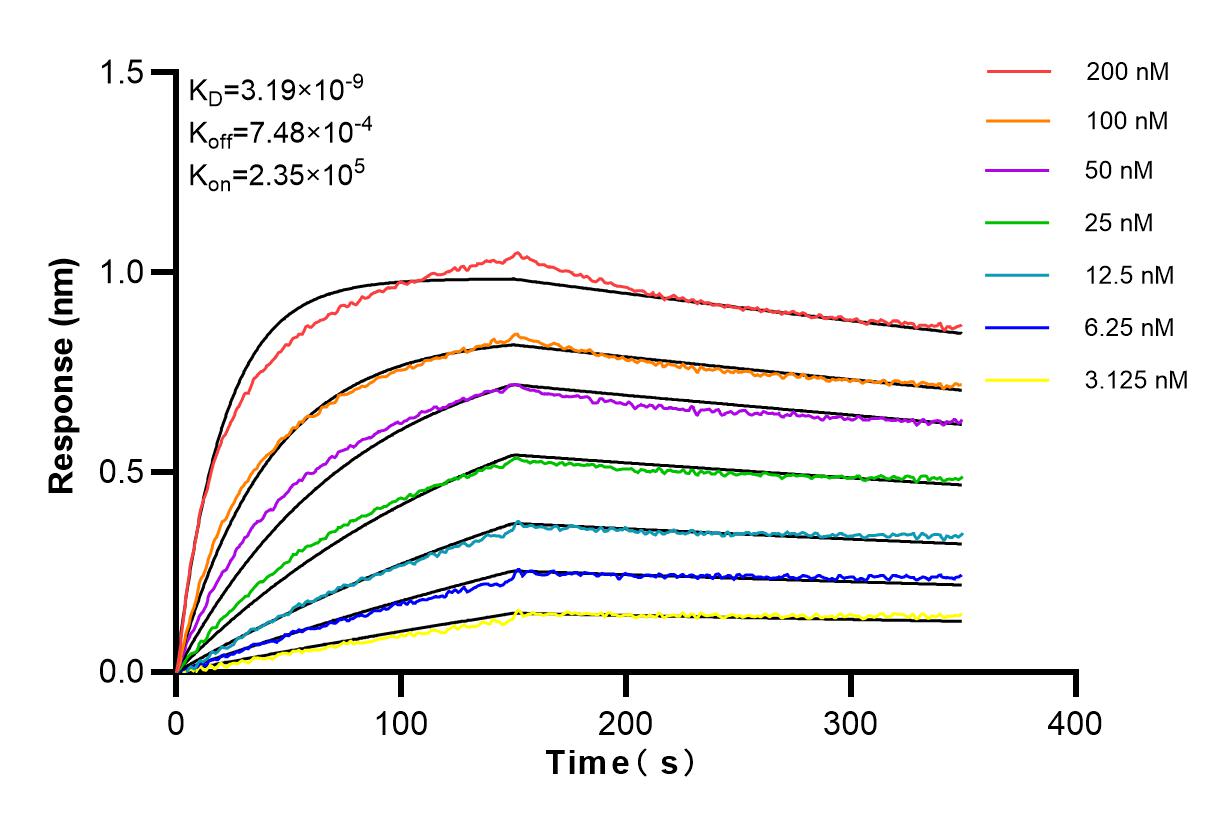 Affinity and Kinetic Characterization of 98021-1-RR