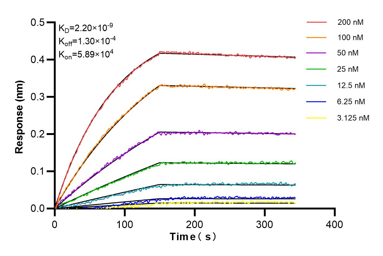 Affinity of 98032-1-FG